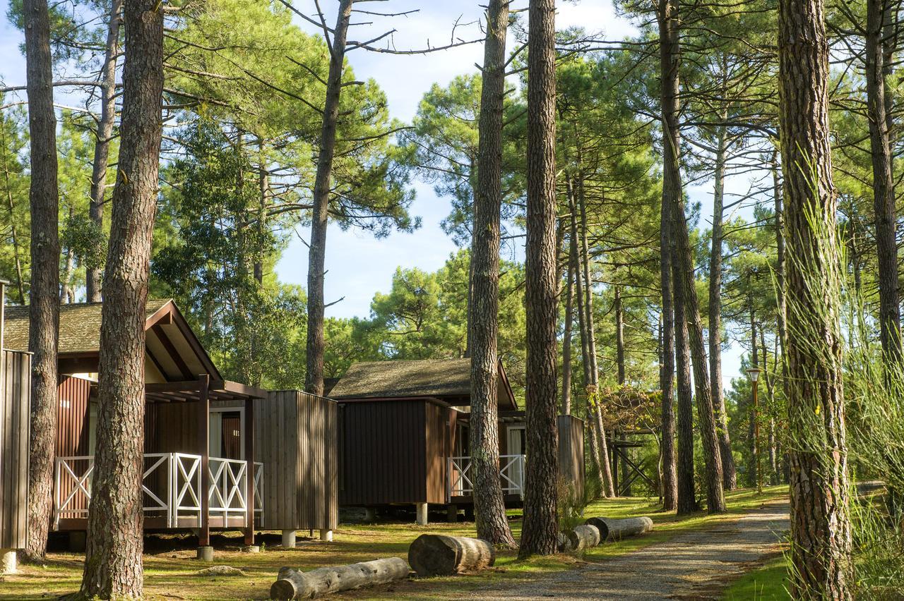 Hotel Vtf Les Oyats Sylvadoures Maubuisson Exterior foto